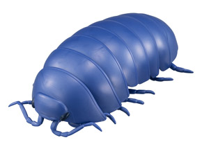 広がった青いダンゴムシ