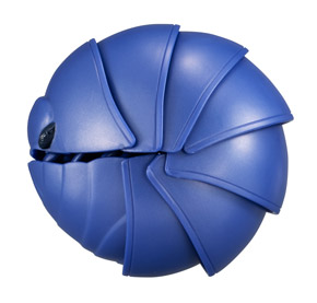 丸まった青いダンゴムシ