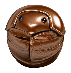 丸まった茶色のマンマルコガネ