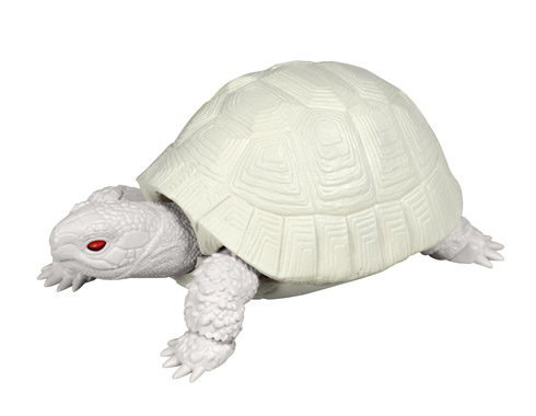 ギリシャリクガメの商品画像
