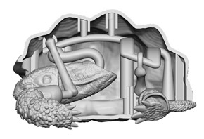カメが頭を引っ込めているときの構造