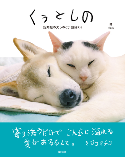 くぅとしの本の表紙