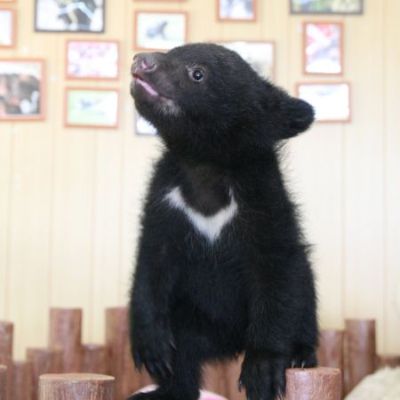 明咲ちゃんが遊んでいます