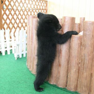 明咲ちゃんが遊んでいます