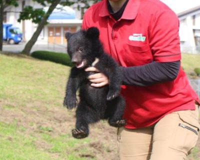 だっこされる明咲ちゃん