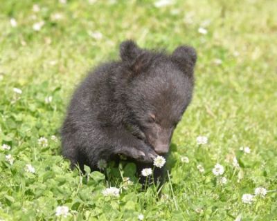 はじめてみるお花に興味津々