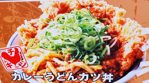カレーうどんカツ丼