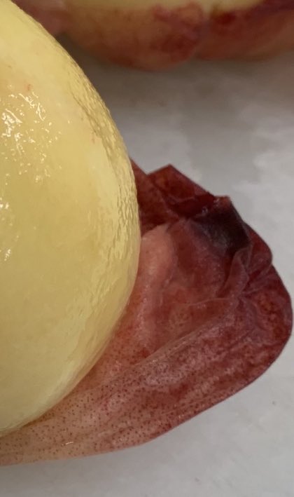 桃の皮をつるんと剥く方法