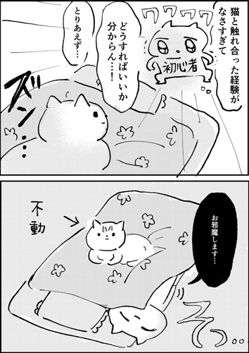初めて猫とネタ漫画2ページ目