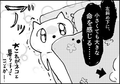 初めて猫とネタ漫画3ページ目