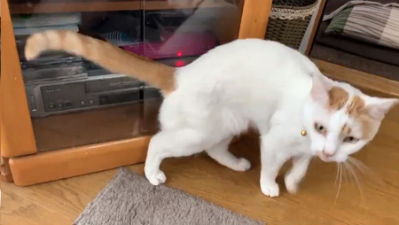 かっこいいポーズ後