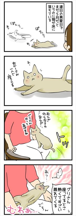 猫