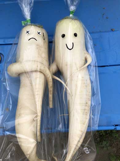 廃棄 奇形 変な形 大根 売り方 顔 アイデア