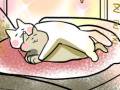 デレる猫とフテる猫、2匹の甘え方の違いにほっこり　猫たちとの愉快な日常を描いた漫画に癒やされる
