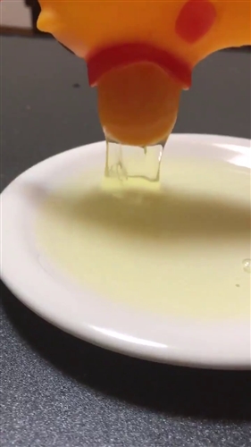 ニワトリのおもちゃ