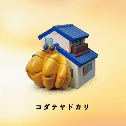 ヤドカリ物件04