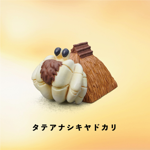 ヤドカリ物件05