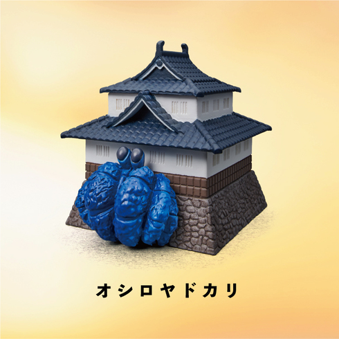 ヤドカリ物件06