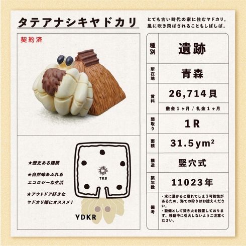 ヤドカリ物件10