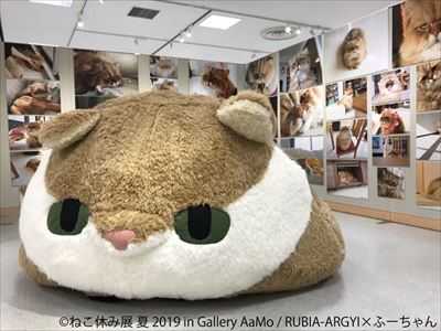 ねこ休み展