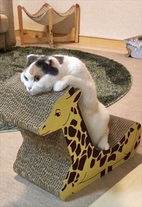 キリンの爪とぎベッド