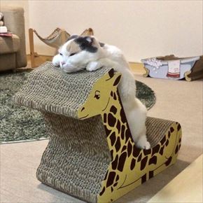 キリンの爪とぎベッド