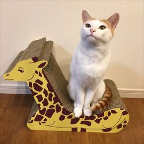 キリンの爪とぎベッド