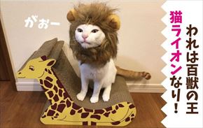 キリンの爪とぎベッド