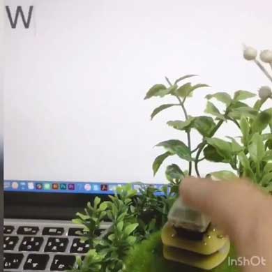 草 生やす ボタン w 専用 植木鉢 秋葉原ラジオスーパー