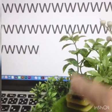 草 生やす ボタン w 専用 植木鉢 秋葉原ラジオスーパー