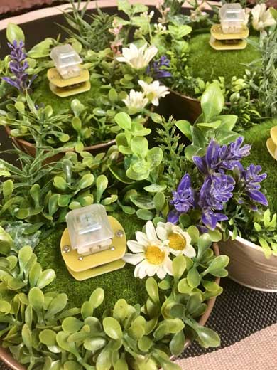 草 生やす ボタン w 専用 植木鉢 秋葉原ラジオスーパー