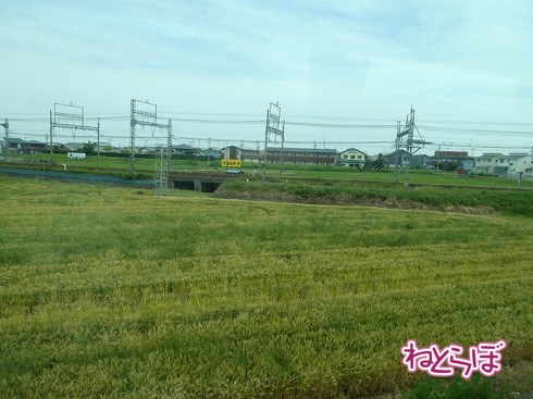 阪神 近鉄特急 乗り鉄