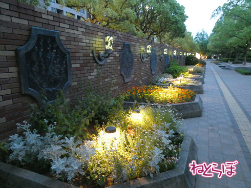 阪神 近鉄特急 乗り鉄