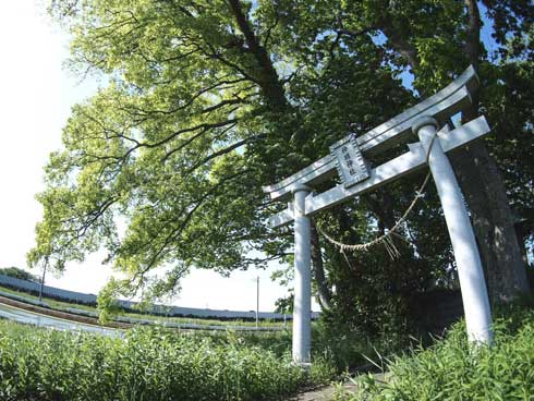 田んぼ 真ん中 神社 写真 Twitter 好き 共感