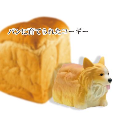 たべものに育てられた犬