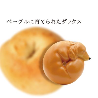 たべものに育てられた犬