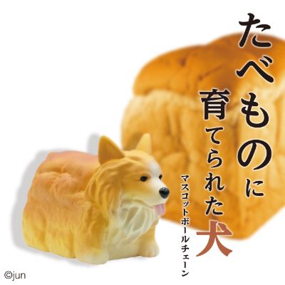 たべものに育てられた犬