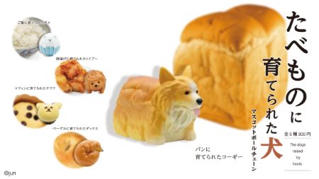 たべものに育てられた犬