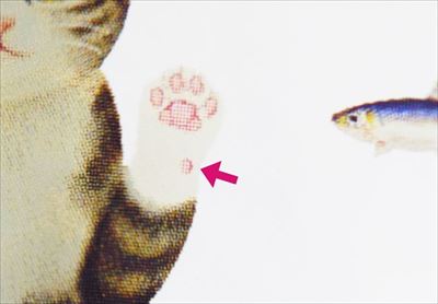 猫さん夢の水族館グラス