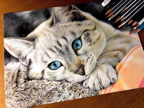 色鉛筆 猫 リアル 毛布 毛並み 音海はる 18歳 絵 途中経過