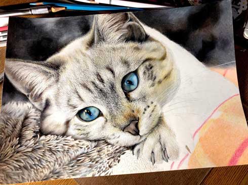 色鉛筆 猫 リアル 毛布 毛並み 音海はる 18歳 絵 途中経過