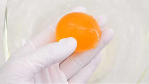 圧倒的不審者の極み 偽装卵 ミニチュア 包丁 ナイフ 制作 食品添加物 ナタデココ 食物繊維 YouTube