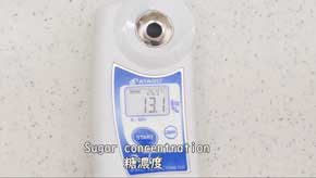 圧倒的不審者の極み 偽装卵 ミニチュア 包丁 ナイフ 制作 食品添加物 ナタデココ 食物繊維 YouTube