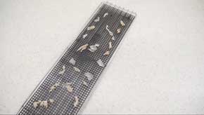 圧倒的不審者の極み 偽装卵 ミニチュア 包丁 ナイフ 制作 食品添加物 ナタデココ 食物繊維 YouTube