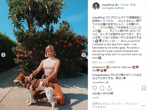 ローラ 保護犬 UNI project 保護施設 シェルター ロサンゼルス