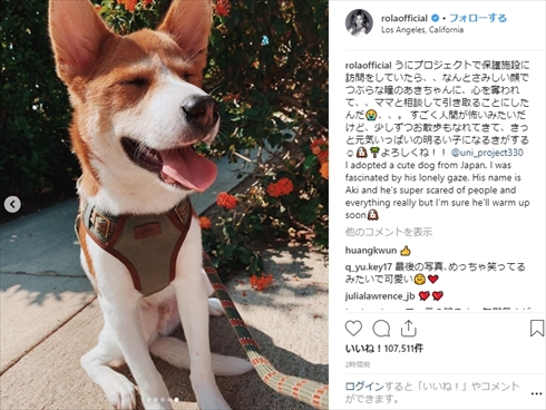 ローラ 保護犬 UNI project 保護施設 シェルター ロサンゼルス あき