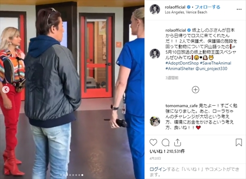 ローラ 保護犬 UNI project 保護施設 シェルター ロサンゼルス 坂上どうぶつ王国 坂上忍