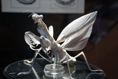 おもちゃショー バンダイ だんごむし