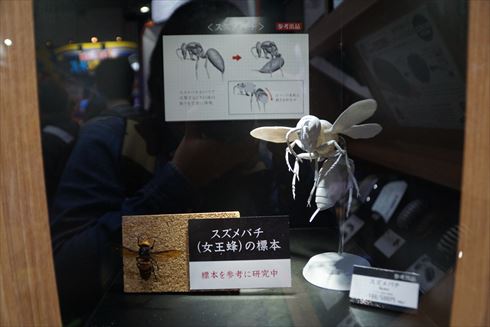 おもちゃショー バンダイ だんごむし