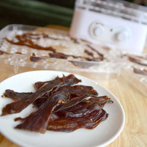 自家製ジャーキーメーカー ビーフジャーキー ドライフルーツ 食品乾燥機 サンコー